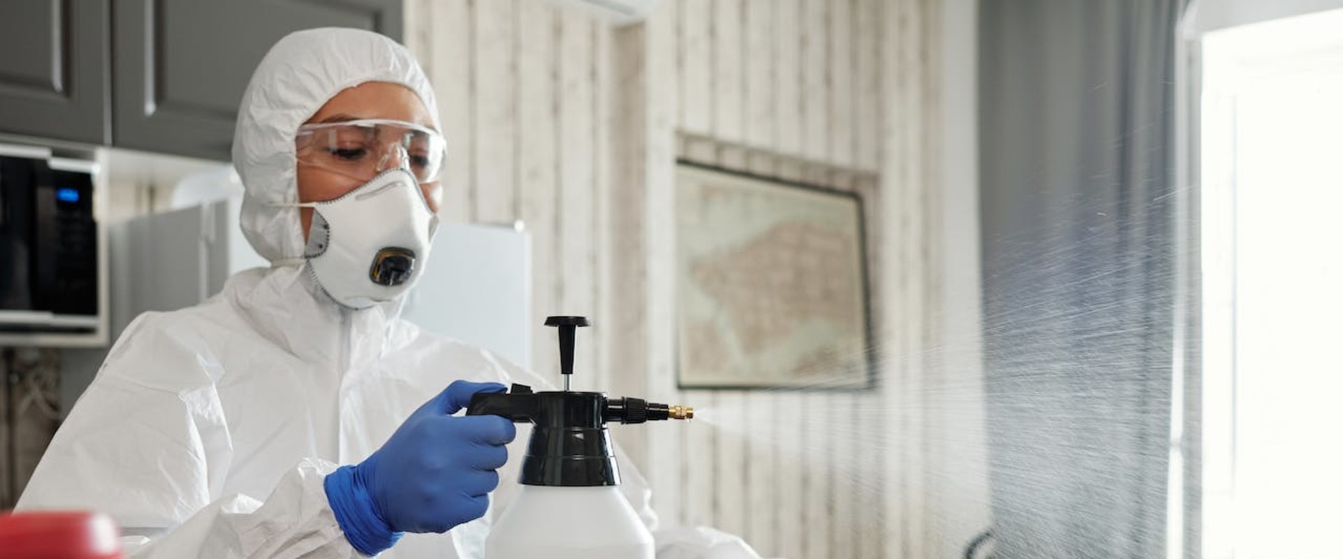 Mold Removal In Toms River: Preparing Your Home For A Successful Inspection