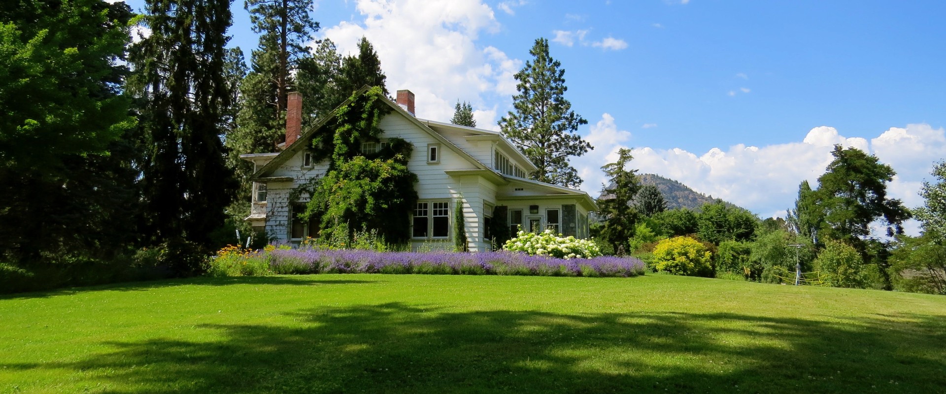 The Vital Role Of Arborist Services In Home Inspection: Martinsburg's Essential Guide