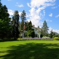 The Vital Role Of Arborist Services In Home Inspection: Martinsburg's Essential Guide